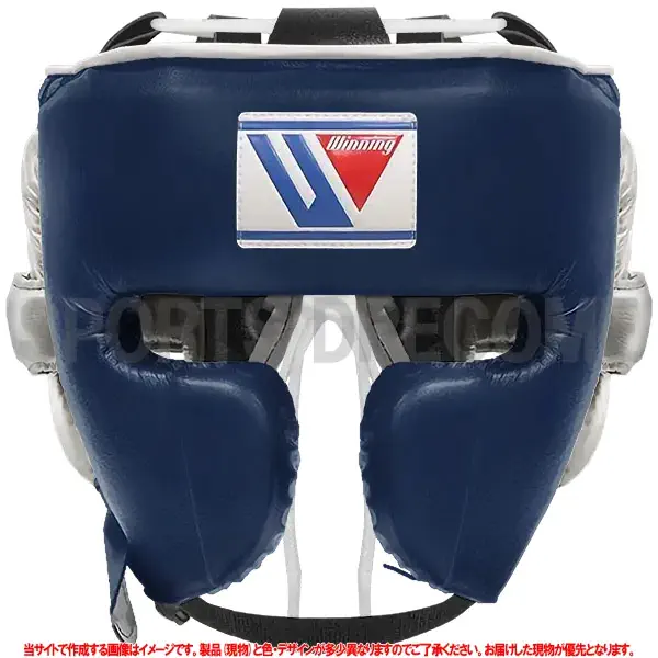 FG-2900